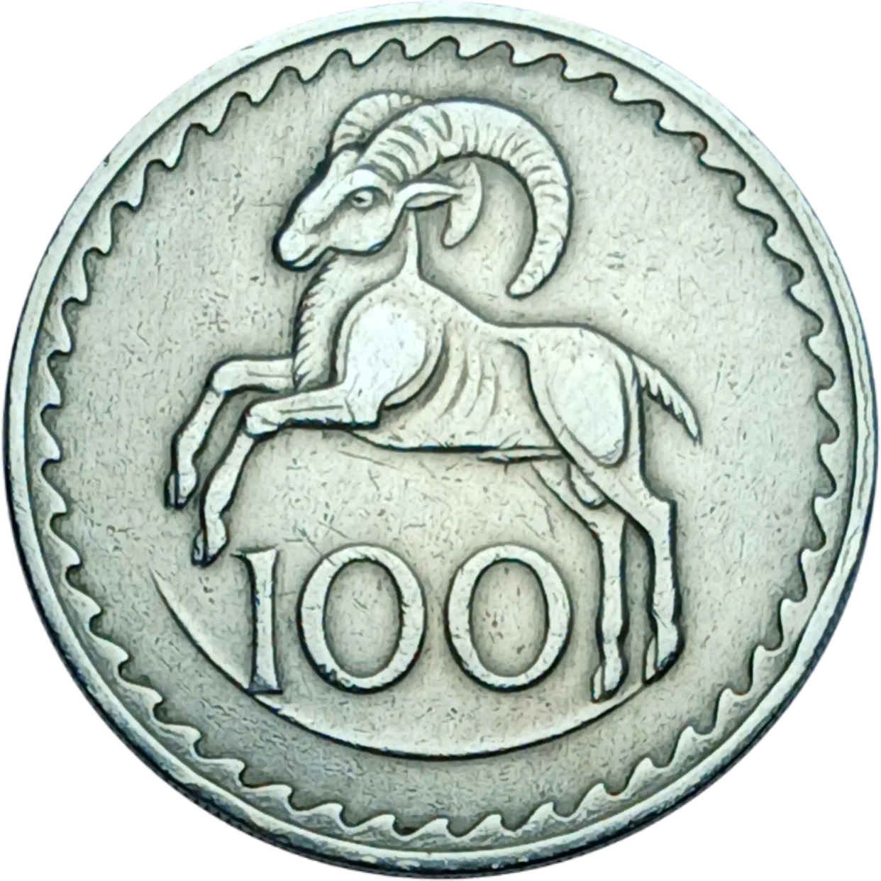 سکه قبرس 100 میل قبرس کبوتر و شاخه زیتون